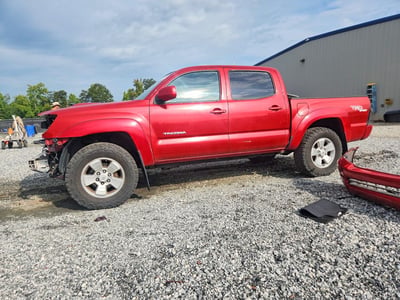 3TMLU42N29M****** 2009 Toyota Tacoma