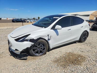 7SAYGDEE6RF****** 2024 Tesla Model Y