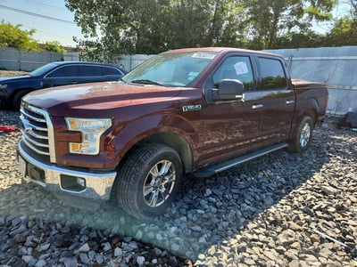 1FTEW1CPXFF****** 2015 Ford F-150