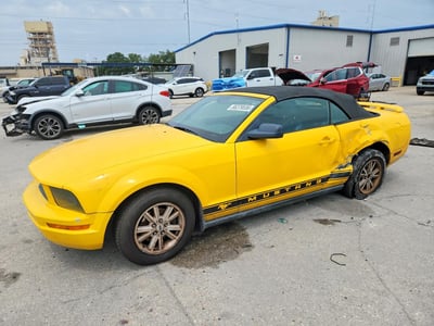 1ZVFT84NX65****** 2006 Ford Mustang