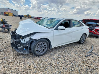 5NPLM4AG3PH****** 2023 Hyundai Elantra