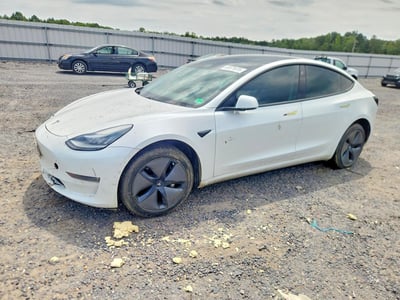 5YJ3E1EA2KF****** 2019 Tesla Model 3