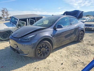 7SAYGDEDXPF****** 2023 Tesla Model Y