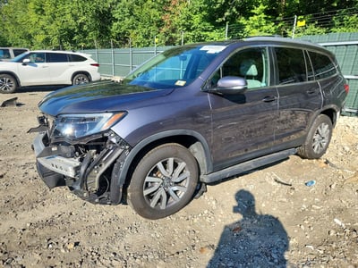 2019 Honda Pilot