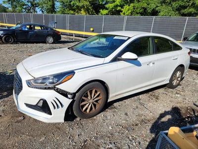 5NPE24AF7KH****** 2019 Hyundai Sonata