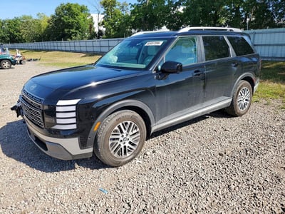 KM8RN5S26TU****** 2026 Hyundai Palisade