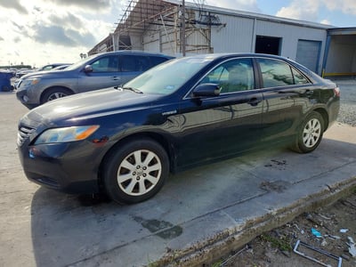4T1BB46K69U****** 2009 Toyota Camry