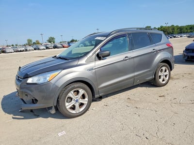 1FMCU0GXXEU****** 2014 Ford Escape