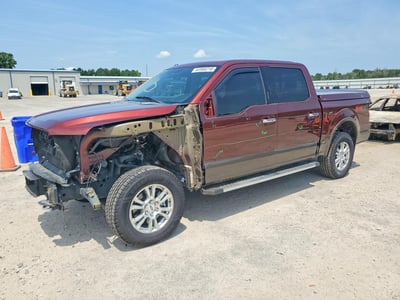1FTEW1EG1FF****** 2015 Ford F-150