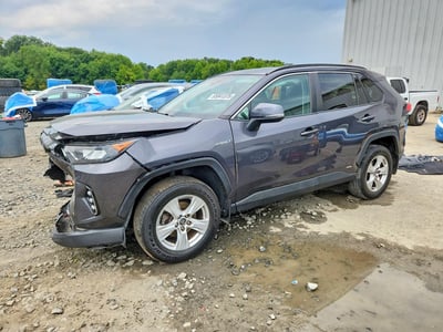 2T3MWRFV7KW****** 2019 Toyota RAV4