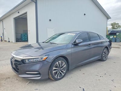 1HGCV3F12KA****** 2019 Honda Accord Hybrid