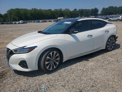 1N4AA6FV4PC****** 2023 Nissan Maxima