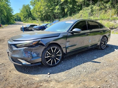 1HGCY2F80RA****** 2024 Honda Accord Hybrid