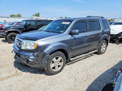 5FNYF4H63BB****** 2011 Honda Pilot