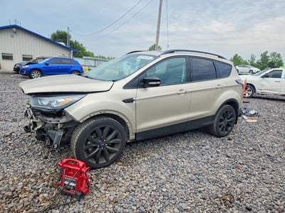1FMCU0J91HU****** 2017 Ford Escape