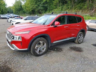 5NMS3DAJ1PH****** 2023 Hyundai Santa Fe