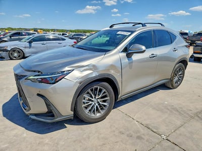 2025 Lexus NX 250
