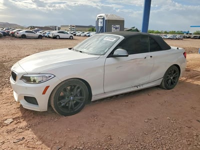 WBA2L1C32HV****** 2017 BMW 2 Series
