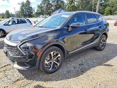 KNDPVCDG6R7****** 2024 Kia Sportage Hybrid