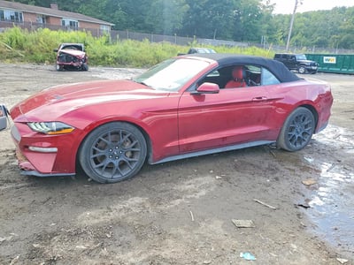 1FATP8UHXJ5****** 2018 Ford Mustang