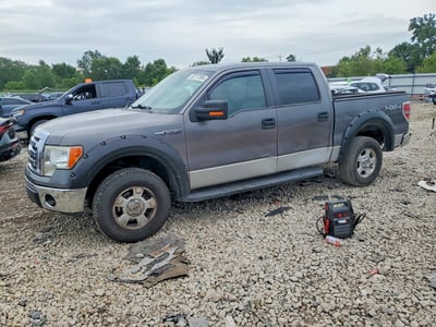 1FTRW14859F****** 2009 Ford F-150