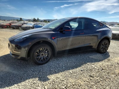 7SAYGDED1SF****** 2025 Tesla Model Y