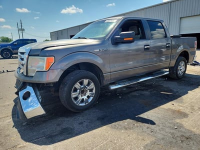 1FTRW12889F****** 2009 Ford F-150