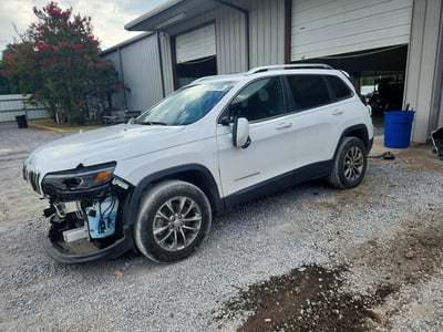 1C4PJMLB6LD****** 2020 Jeep Cherokee