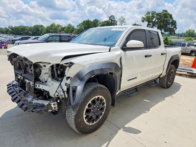 3TYLB5JN8RT****** 2024 Toyota Tacoma