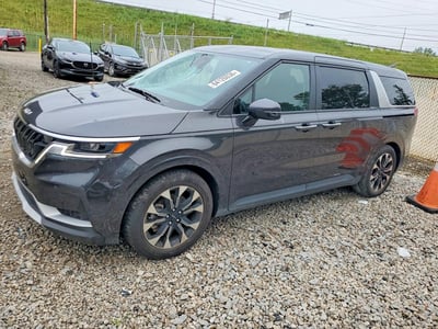 KNDNC5H38R6****** 2024 Kia Carnival