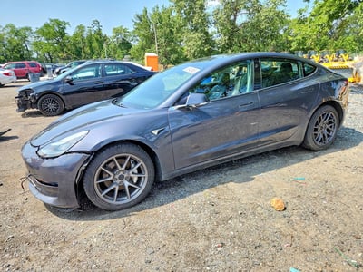5YJ3E1EB1KF****** 2019 Tesla Model 3