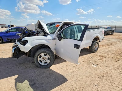 1FTFX1EF1EK****** 2011 Ford F-150