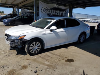 2019 Toyota Camry Hybrid