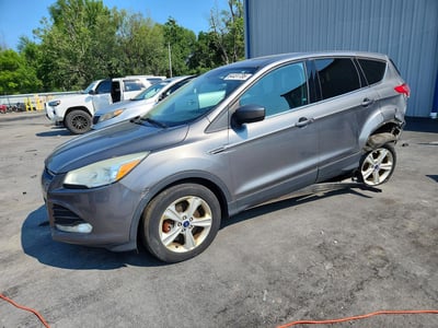 1FMCU9GX6EU****** 2014 Ford Escape