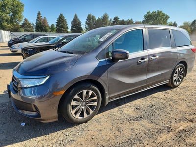 2023 Honda Odyssey