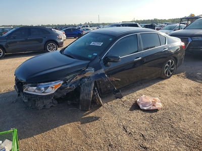 1HGCR2F79HA****** 2017 Honda Accord