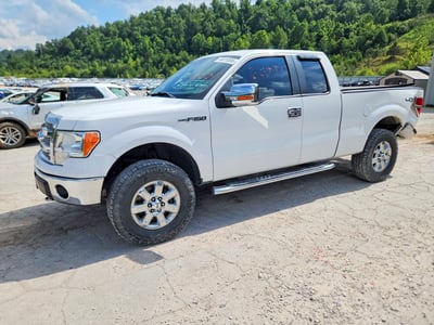 1FTFX1EF1EF****** 2014 Ford F-150