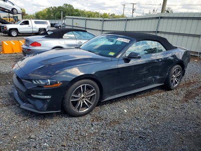 1FATP8UH8K5****** 2019 Ford Mustang