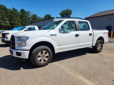 1FTEW1EP8FF****** 2015 Ford F-150