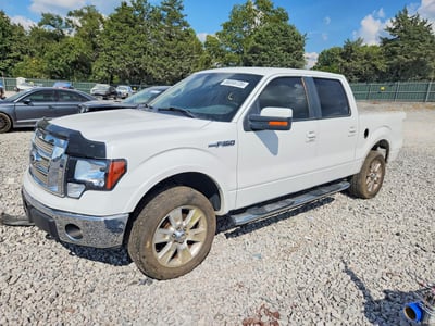 1FTFW1EV5AF****** 2010 Ford F-150