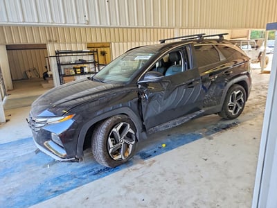 5NMJF3DE1RH****** 2024 Hyundai Tucson