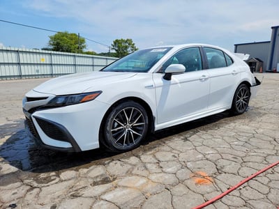 4T1S31AK1MU****** 2021 Toyota Camry