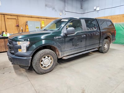 1FTEW1EF2FF****** 2015 Ford F-150