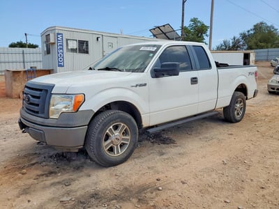 1FTFX1EV4AK****** 2010 Ford F-150