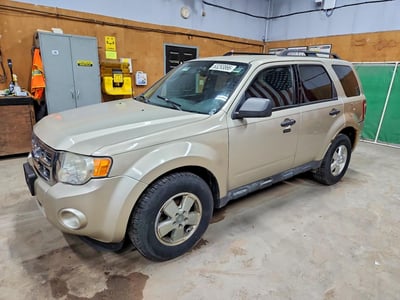1FMCU9DG8AK****** 2010 Ford Escape