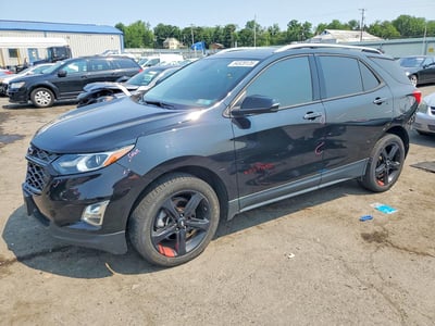 2GNAXYEX1L6****** 2020 Chevrolet Equinox