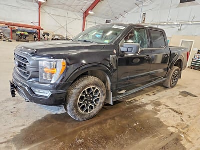 1FTFW1E80PK****** 2023 Ford F-150