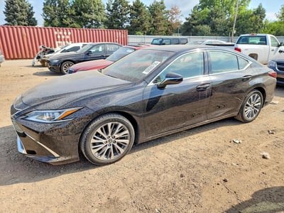 58ABZ1B13KU****** 2019 Lexus ES 350