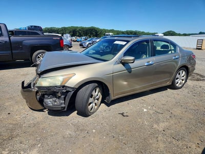 5KBCP3F81AB****** 2010 Honda Accord