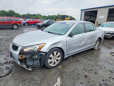 2008 Honda Accord